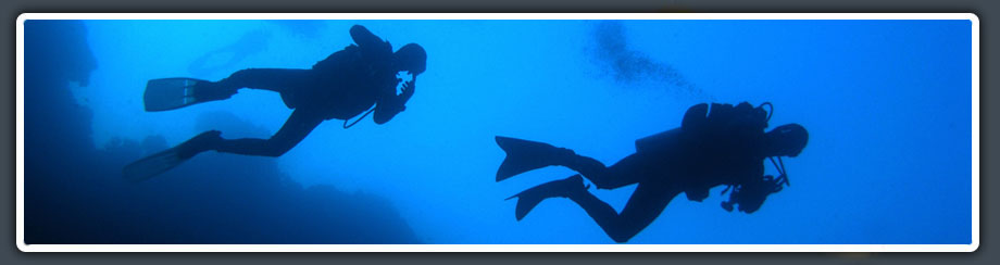 scuba divers in Moalboal enjoying their dive